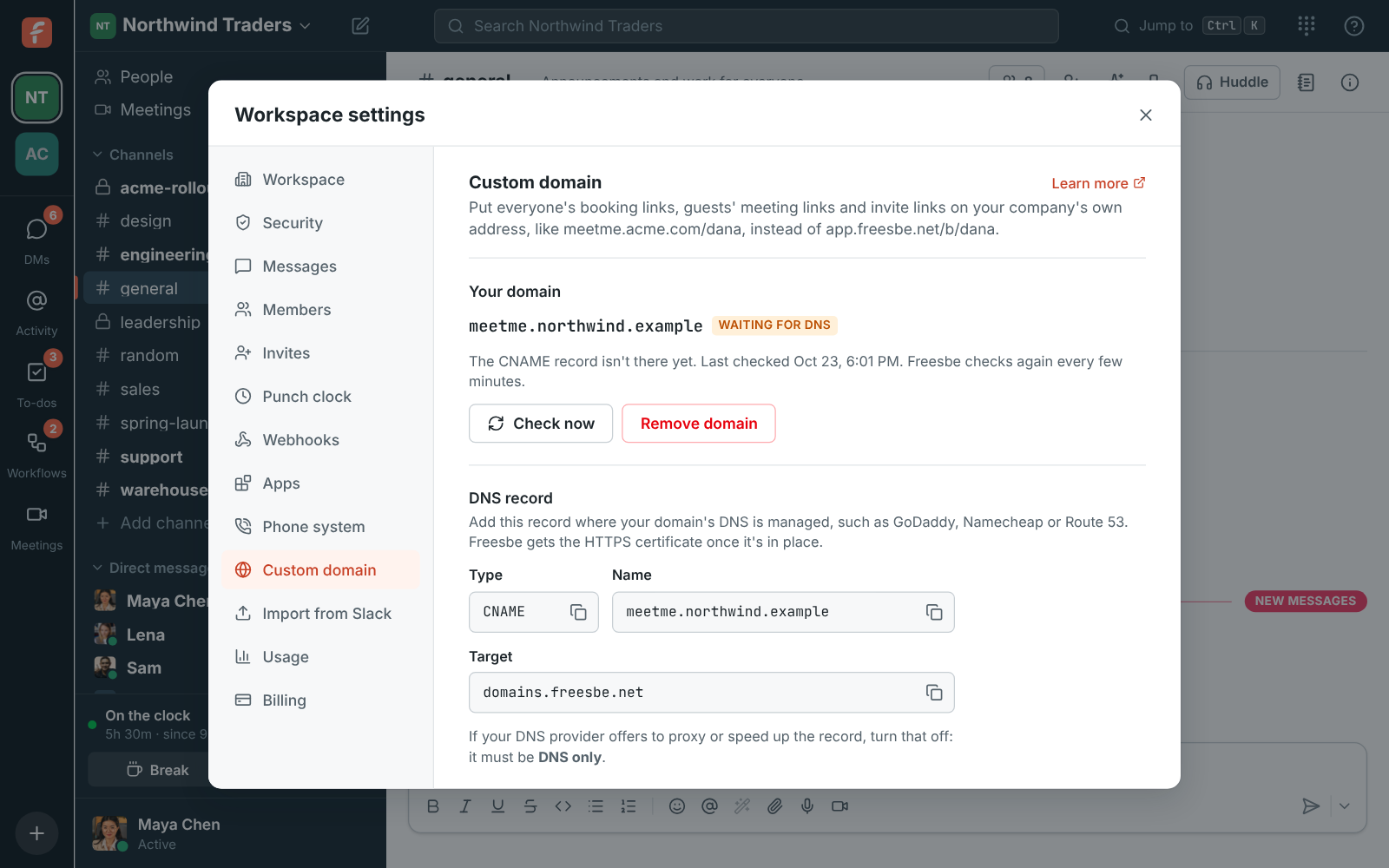 A domain waiting for DNS: the CNAME record to add, with copy buttons for the name and the target domains.freesbe.net, and Check now and Remove domain buttons